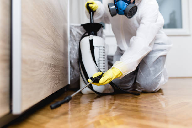 Best Affordable Pest Control Services  in Catawba, SC