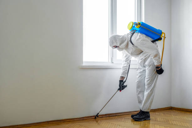 Best Best Pest Control Companies  in Catawba, SC